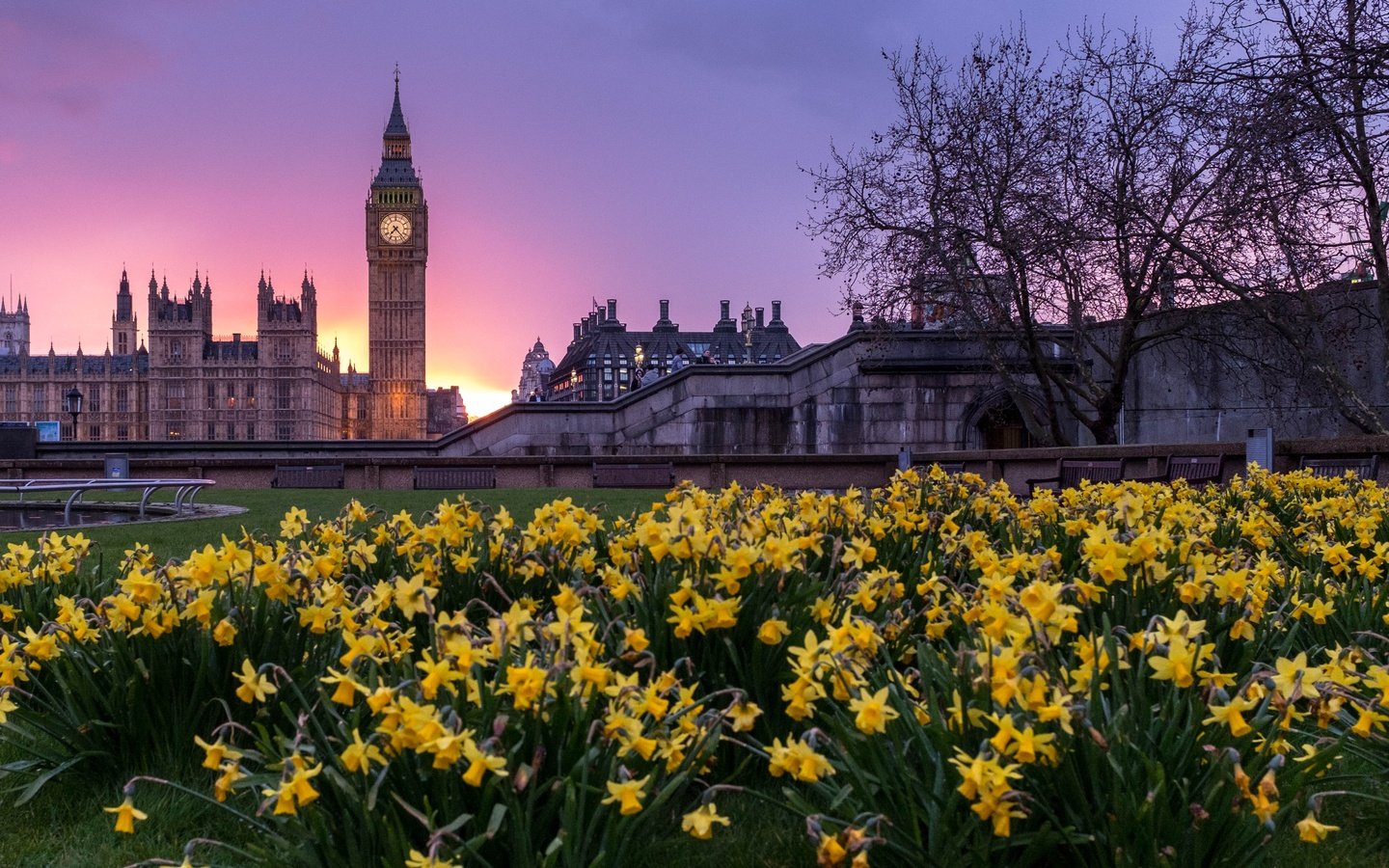 Обои цветы, закат, лондон, здания, биг-бен, парламент, flowers, sunset, london, building, big ben, parliament разрешение 4263x2842 Загрузить