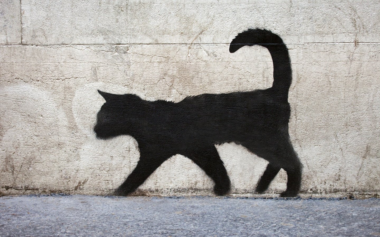 Обои текстура, стена, граффити, поверхность, кирпичная, черный кот, texture, wall, graffiti, surface, brick, black cat разрешение 5616x3744 Загрузить