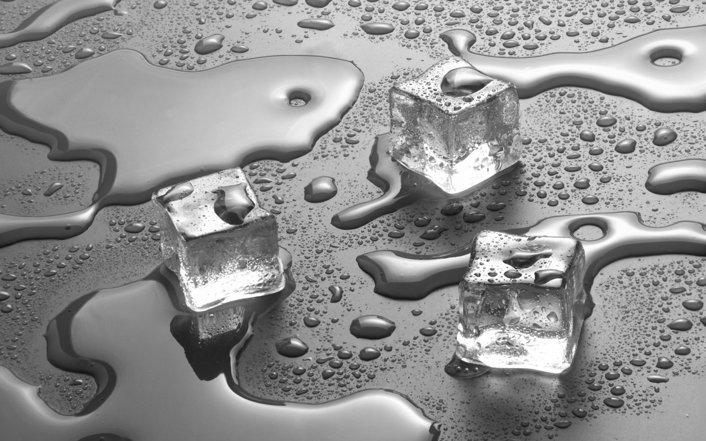 Обои вода, капли, чёрно-белое, лёд, кубики, water, drops, black and white, ice, cubes разрешение 4172x2764 Загрузить