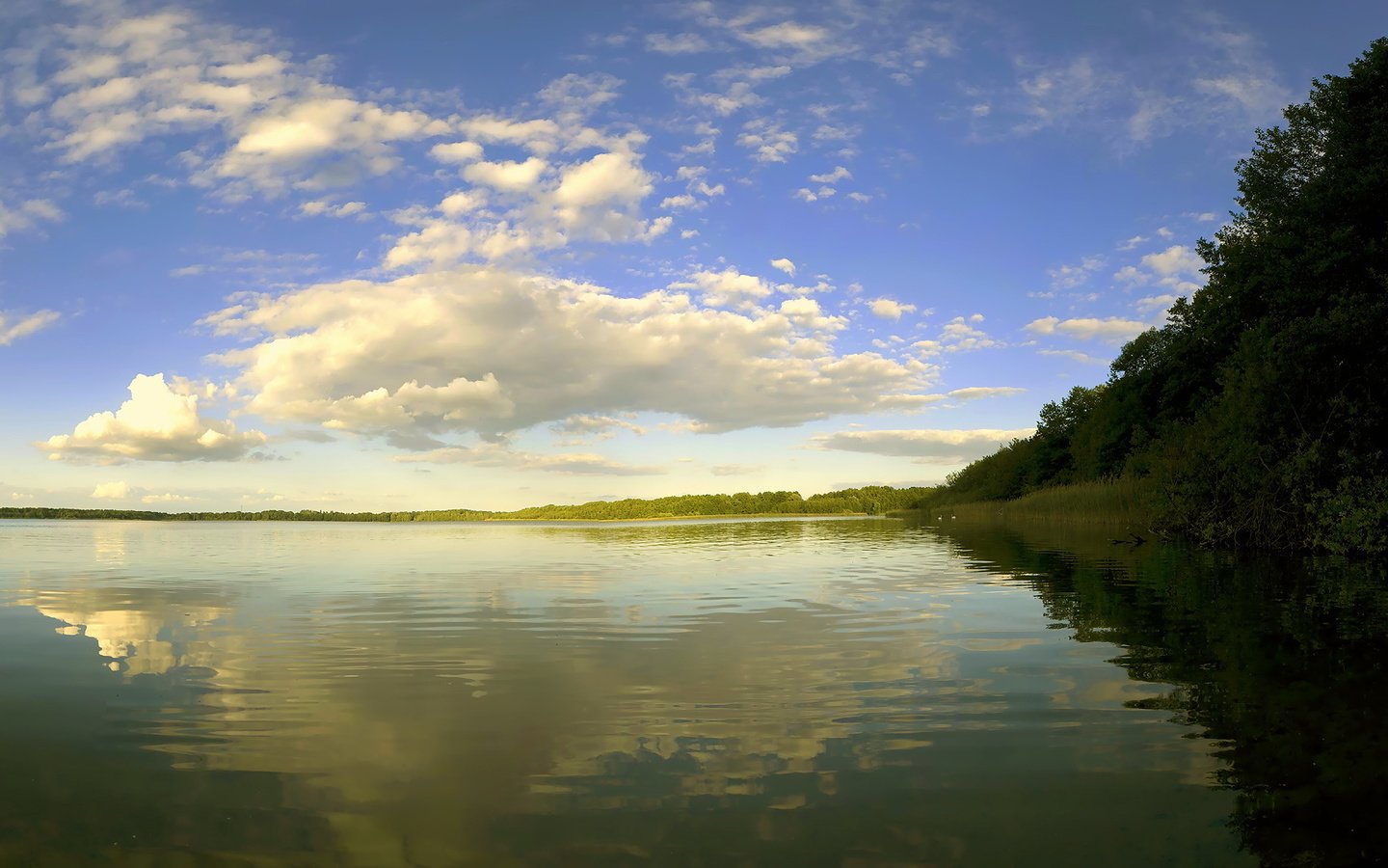 Обои небо, облака, деревья, река, природа, берег, лес, отражение, the sky, clouds, trees, river, nature, shore, forest, reflection разрешение 1920x1080 Загрузить