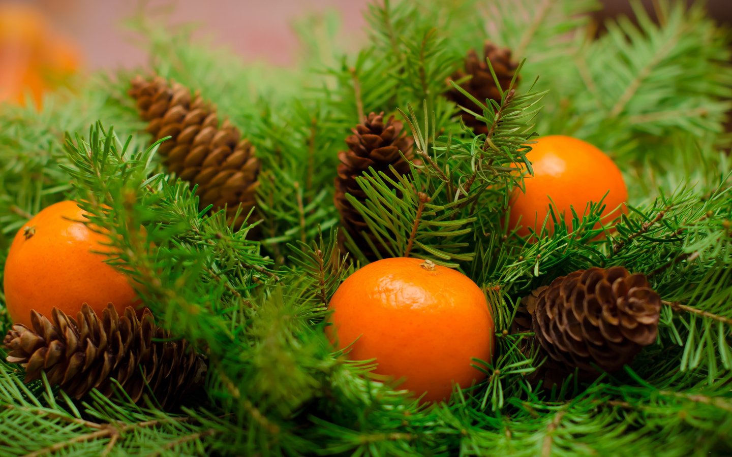 Обои ветки ели, новый год, mandarines, украшения, плоды, рождество, мандарины, дерева, мандаринка, merry, fir tree, fir-tree branches, new year, decoration, fruit, christmas, tangerines, wood, tangerine разрешение 2112x1188 Загрузить