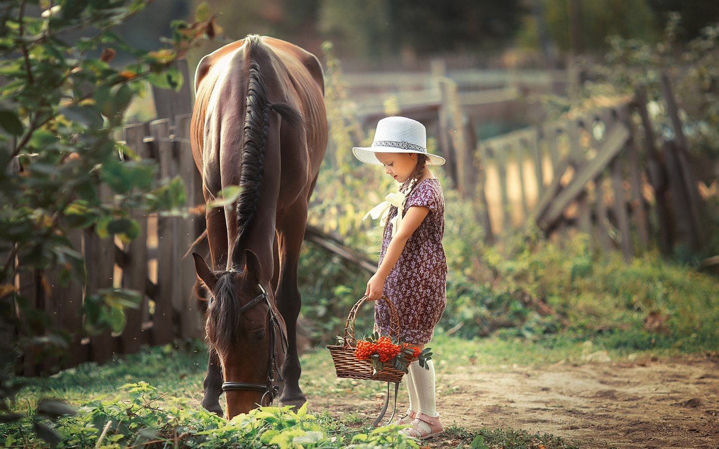 Обои лошадь, девочка, корзина, рябина, horse, girl, basket, rowan разрешение 2112x1188 Загрузить