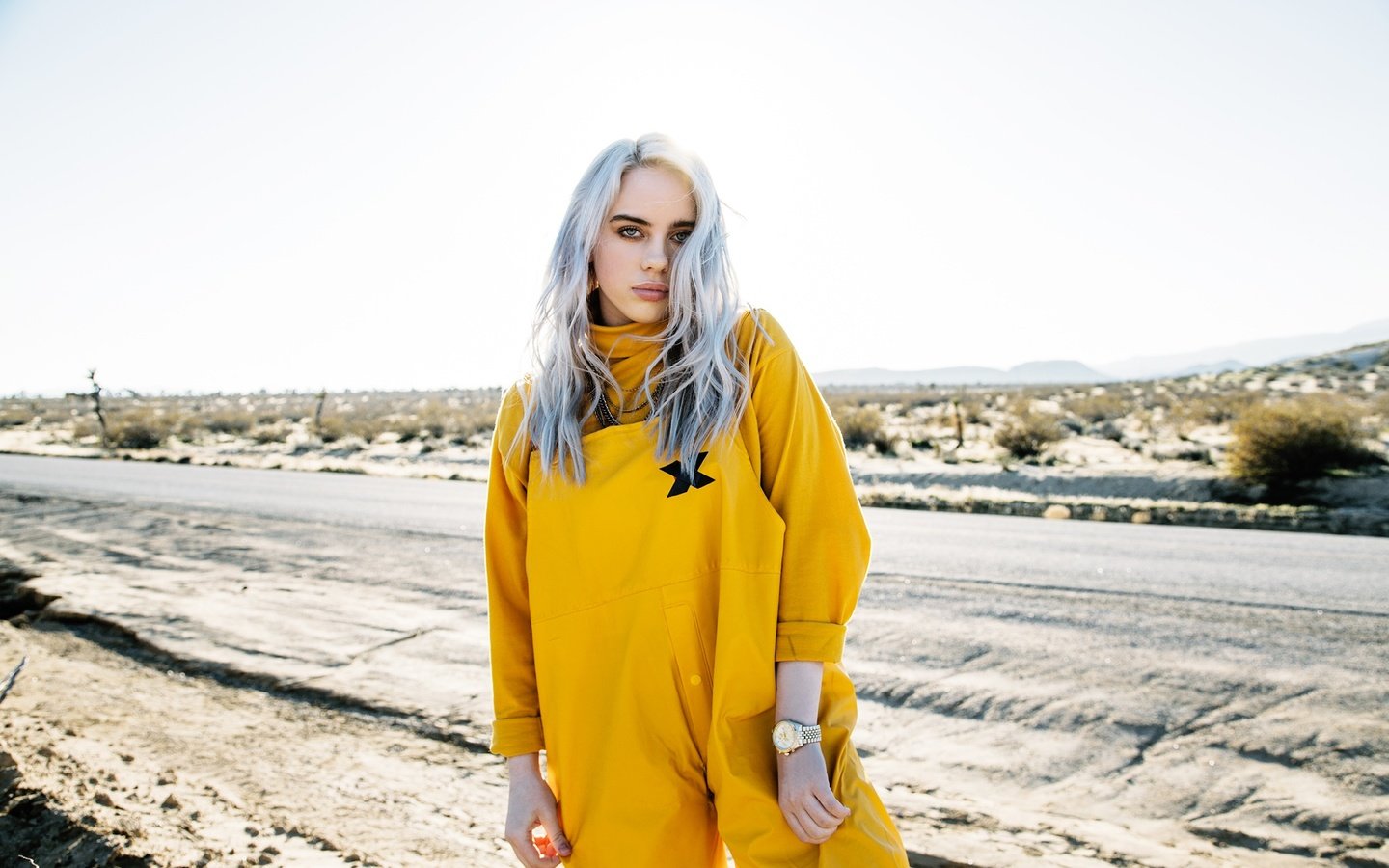 Обои девушка, поза, взгляд, волосы, лицо, певица, билли айлиш, billie eilish, girl, pose, look, hair, face, singer разрешение 2160x1440 Загрузить