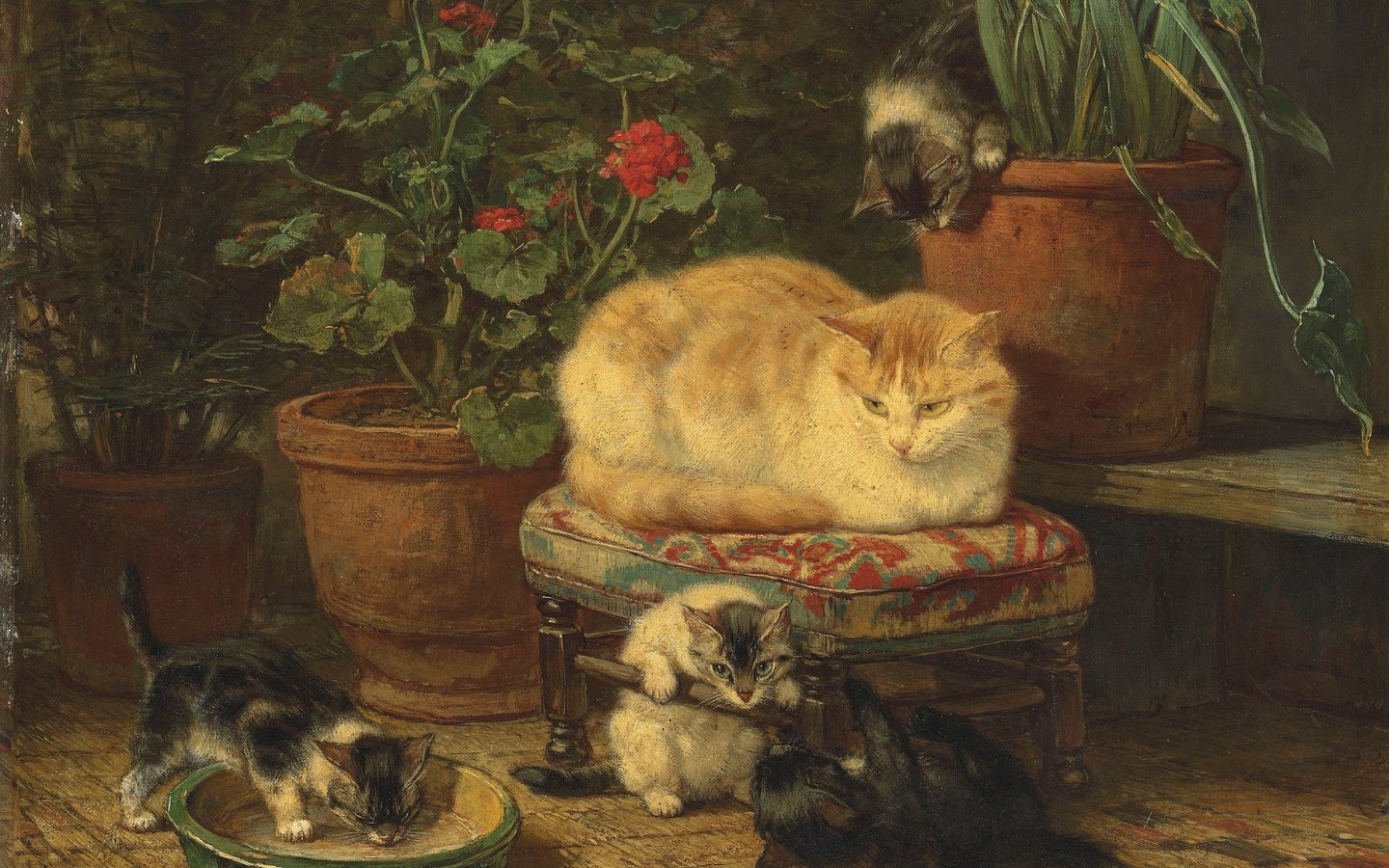 Обои кошка, масло, котята, cat, oil, kittens разрешение 3200x2342 Загрузить