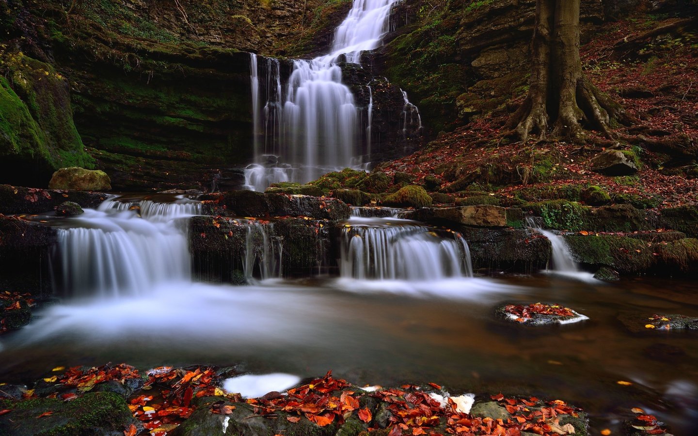 Обои листья, водопад, leaves, waterfall разрешение 2048x1367 Загрузить