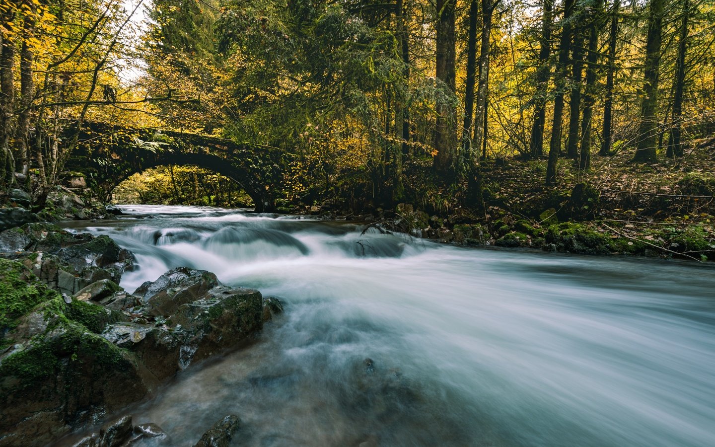 Обои река, лес, мост, осень, river, forest, bridge, autumn разрешение 7360x4585 Загрузить