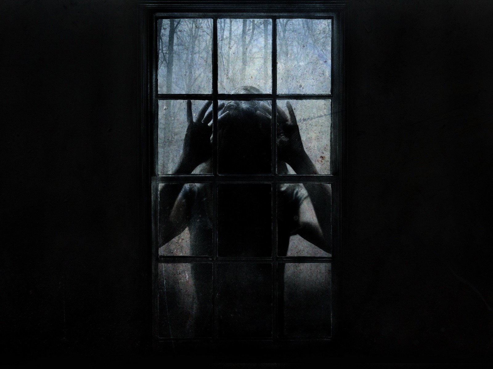 Обои чужой, окно, страх, ужас, stranger, window, fear, horror разрешение 1920x1200 Загрузить