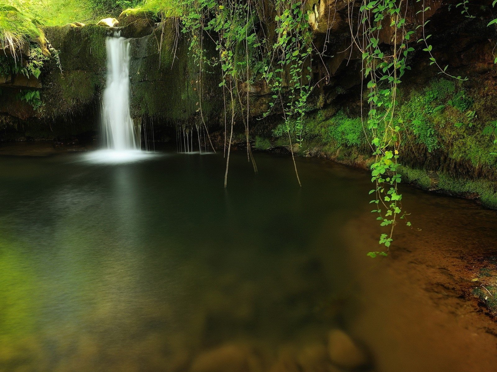 Обои озеро, природа, лес, водопад, лианы свисают, прозрачная вода, lake, nature, forest, waterfall, vines hang down, clear water разрешение 1920x1200 Загрузить