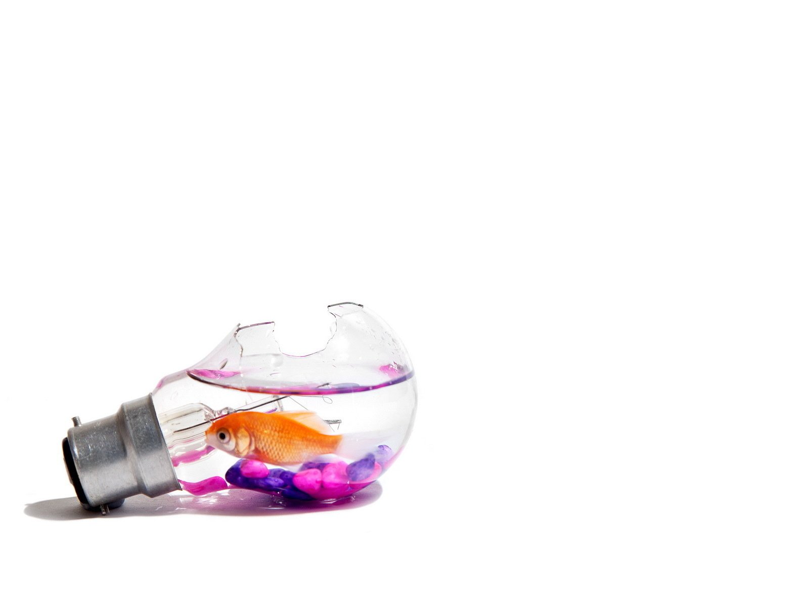 Обои лампа, минимализм, рыбка, lamp, minimalism, fish разрешение 1920x1200 Загрузить