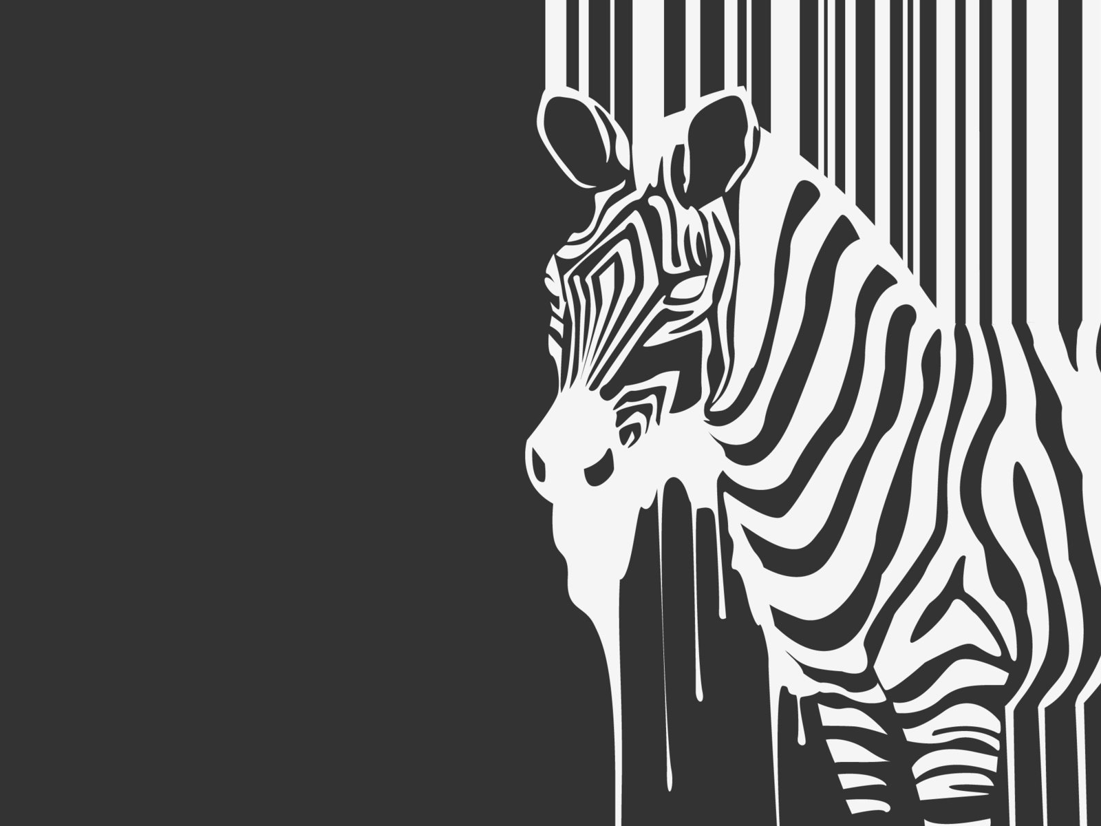 Обои зебра, животное, ч.б., zebra, animal, h. b. разрешение 2560x1600 Загрузить