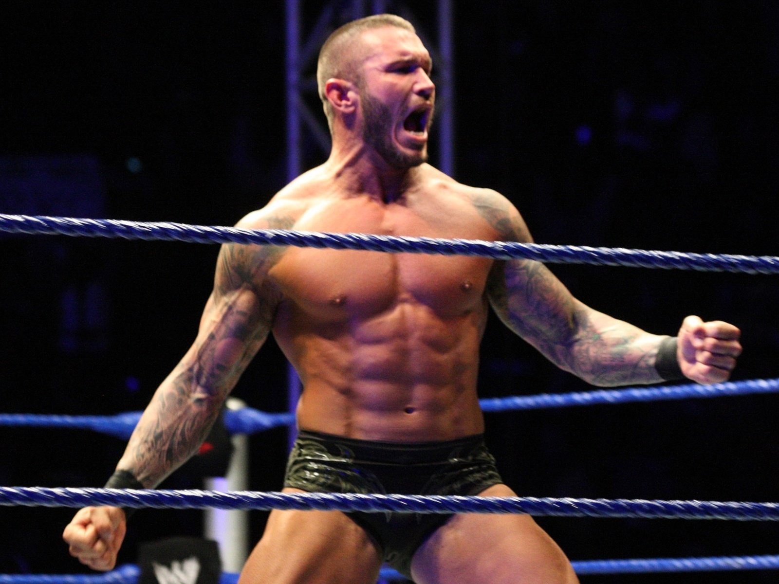 Обои mma, тяжелый вес, wwe, ufc, рестлер, ренди ортон, heavy weight, wrestler, randy orton разрешение 2560x1600 Загрузить