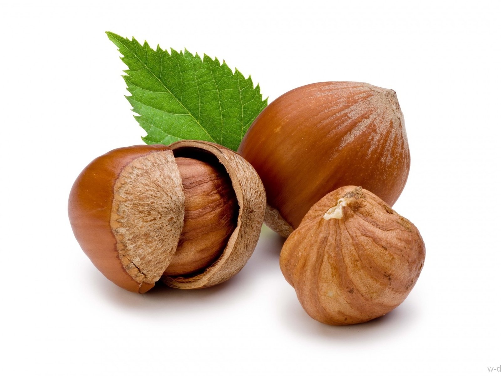 Обои орехи, белый фон, листик, фундук, лесной орех, nuts, white background, leaf, hazelnuts, hazelnut разрешение 1920x1280 Загрузить