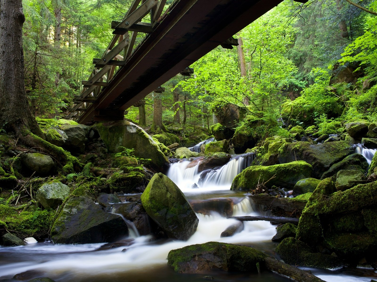 Обои скалы, камни, лес, мост, водопад, мох, германия, rocks, stones, forest, bridge, waterfall, moss, germany разрешение 3000x2000 Загрузить