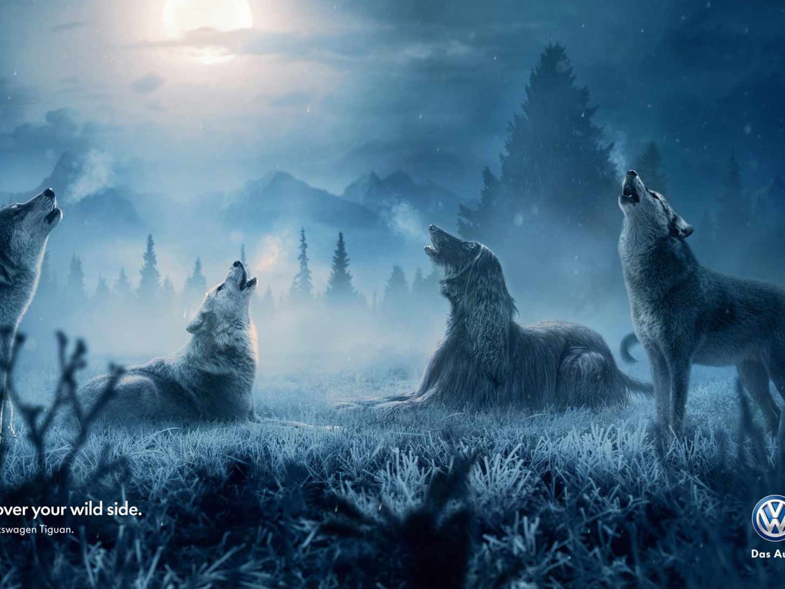 Обои собака, креатив, волки, dog, creative, wolves разрешение 1920x1200 Загрузить