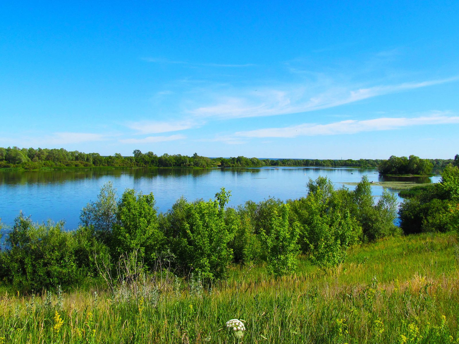 Обои небо, деревья, река, сура, берег реки, the sky, trees, river, sur, the river разрешение 2560x1600 Загрузить