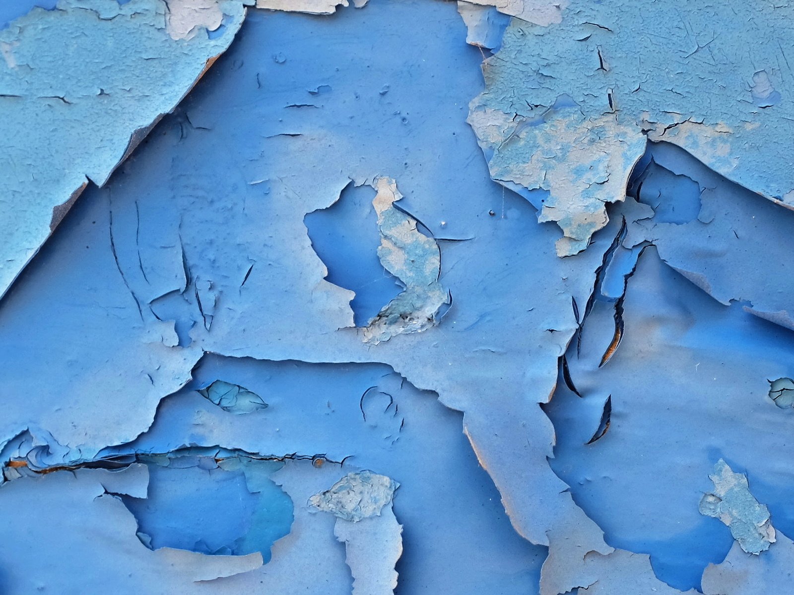 Обои текстура, фон, синий, стена, краска, облупившаяся краска, texture, background, blue, wall, paint разрешение 2000x1307 Загрузить