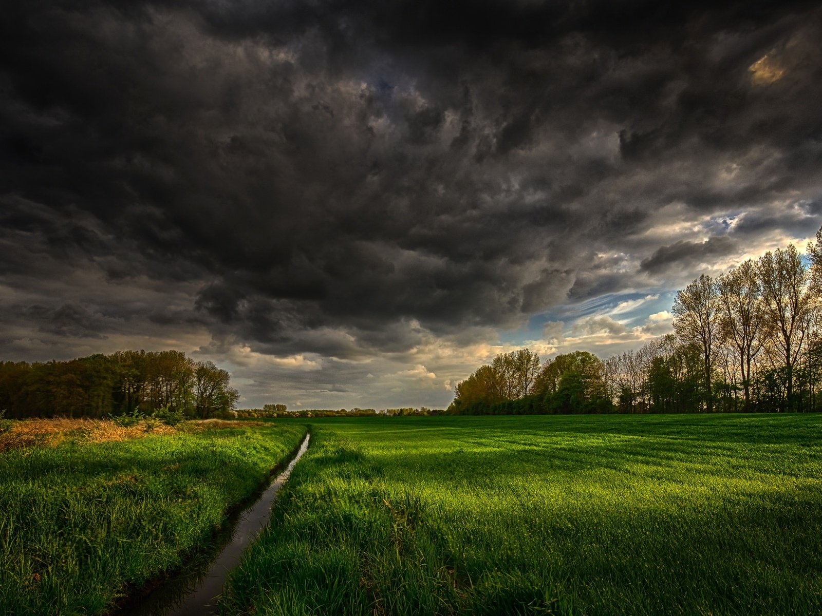 Обои небо, трава, деревья, тучи, ручей, поле, канал, the sky, grass, trees, clouds, stream, field, channel разрешение 2048x1365 Загрузить