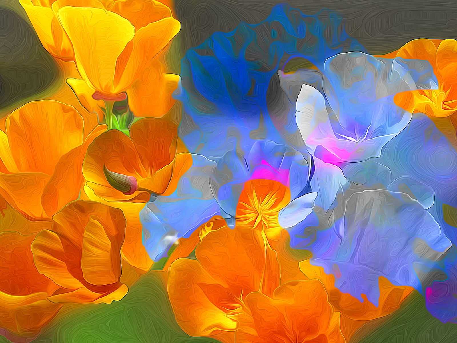 Обои цветы, линии, лепестки, краски, маки, рендеринг, flowers, line, petals, paint, maki, rendering разрешение 2048x1356 Загрузить