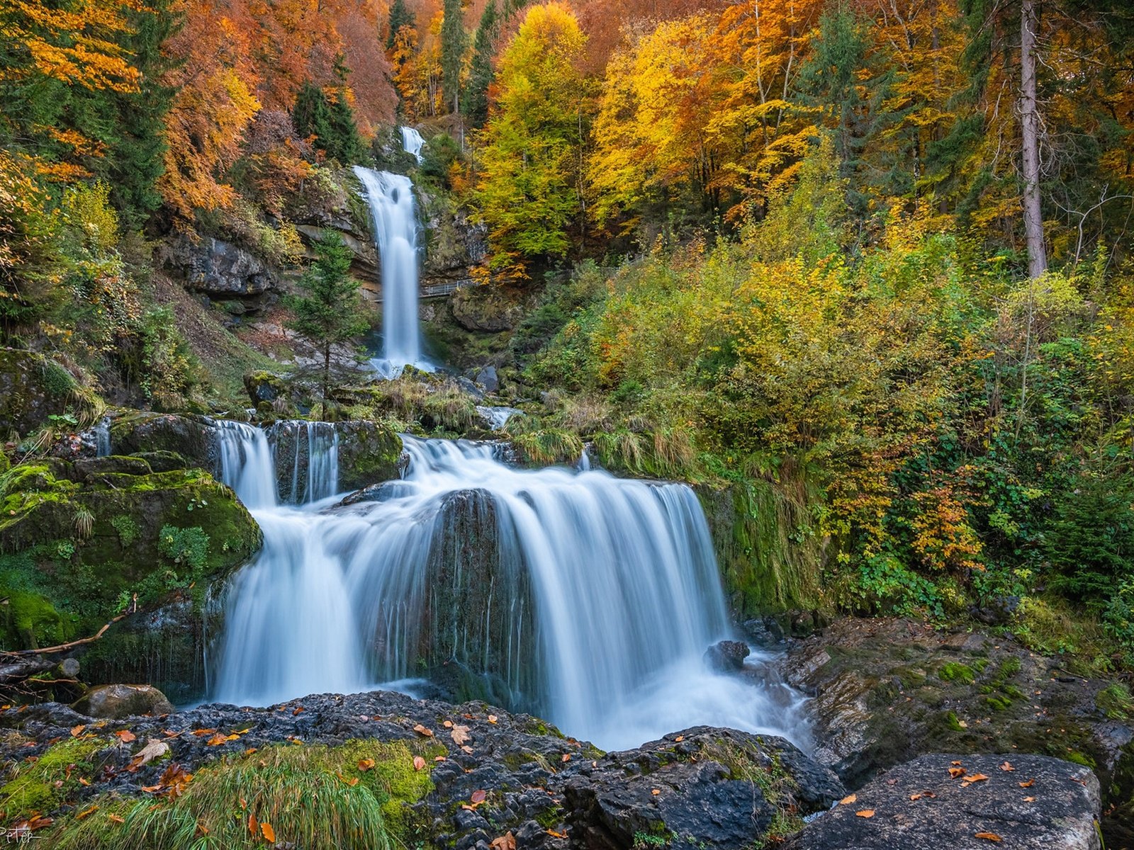 Обои лес, скала, водопад, осень, швейцария, каскад, forest, rock, waterfall, autumn, switzerland, cascade разрешение 1920x1282 Загрузить