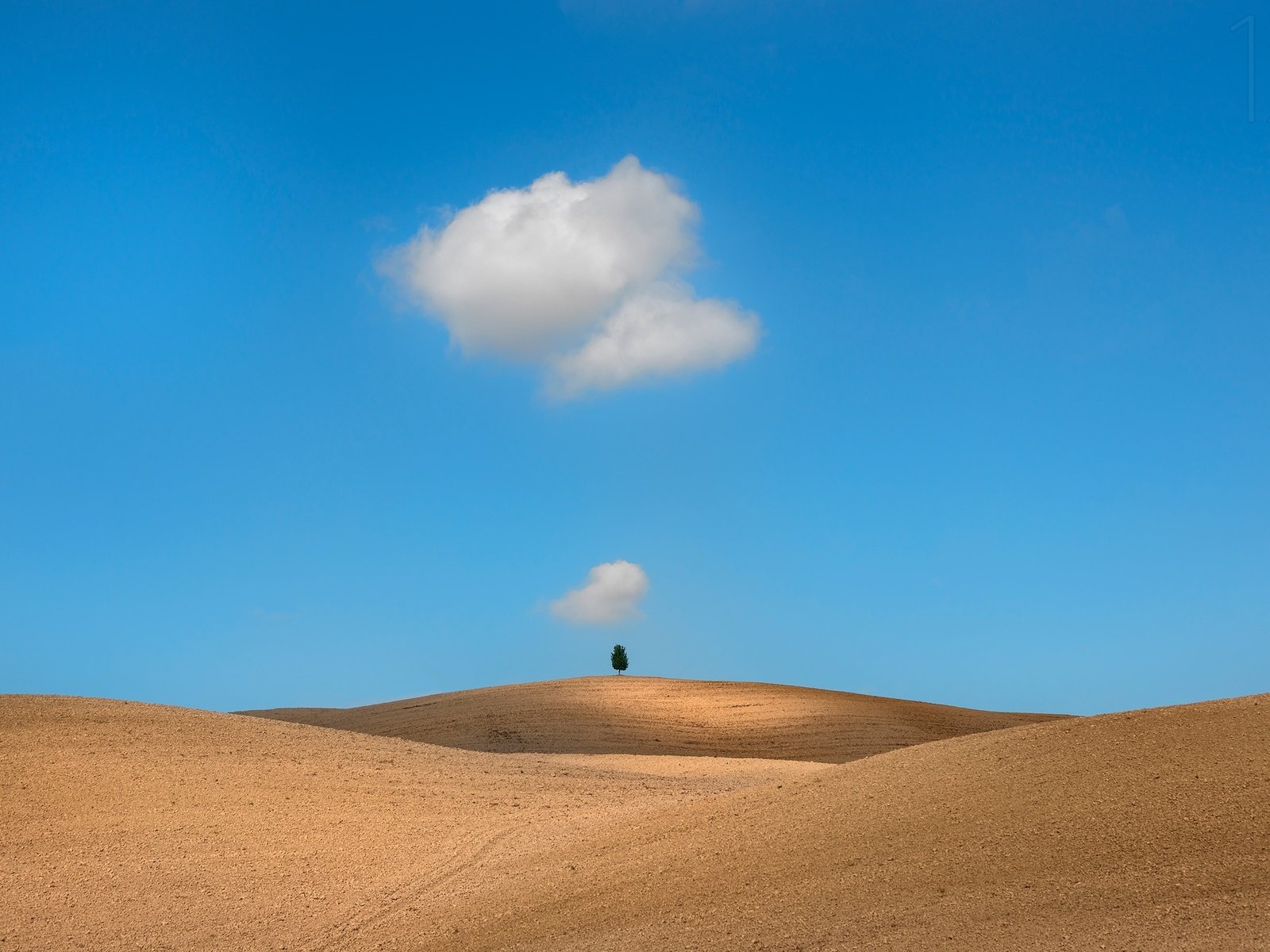 Обои облака, дерево, поле, тоскана, clouds, tree, field, tuscany разрешение 2500x1668 Загрузить