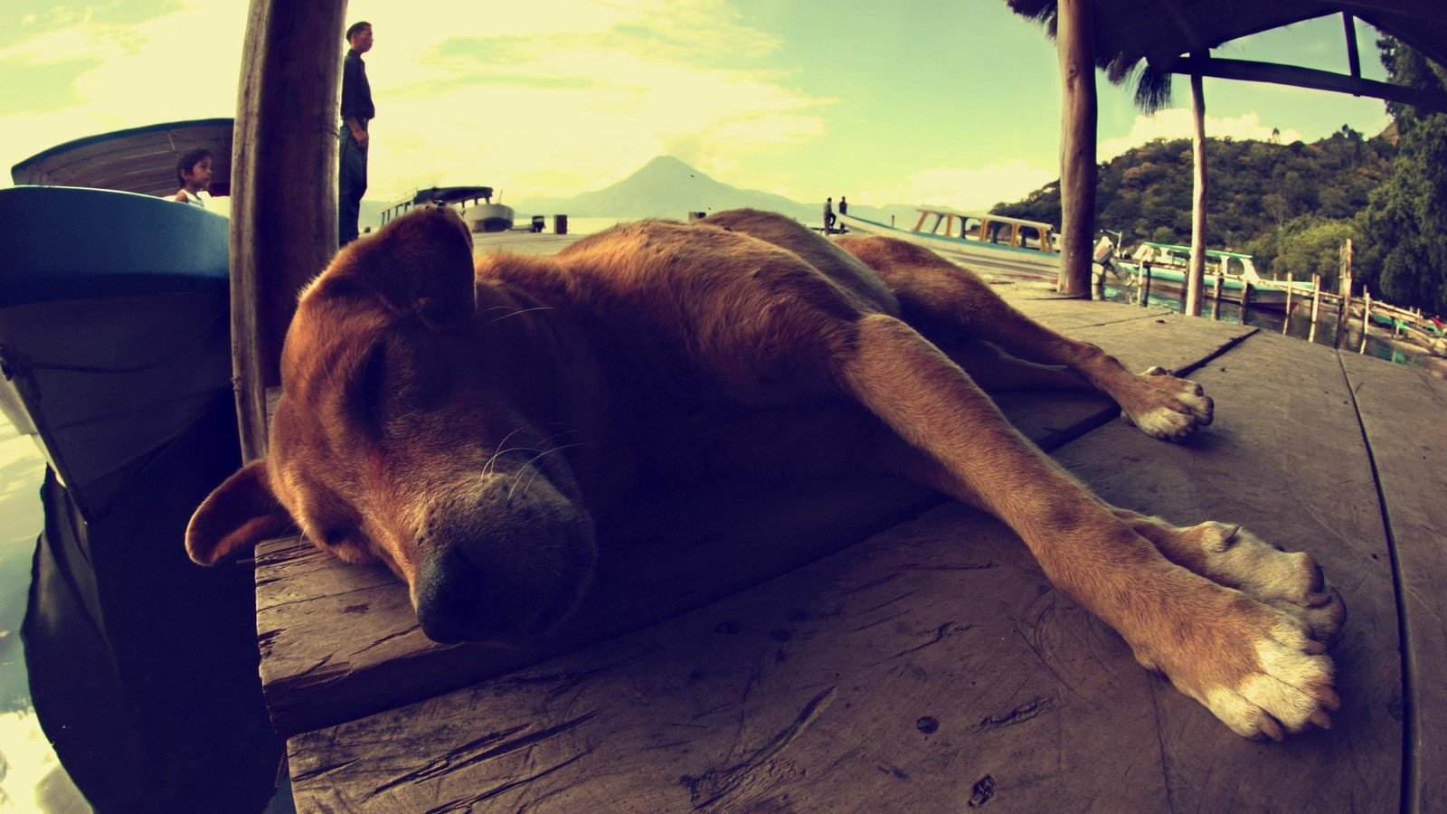 Обои пейзаж, люди, собака, лежит, спит, лодка, пес, гуатемала, landscape, people, dog, lies, sleeping, boat, guatemala разрешение 2991x1994 Загрузить