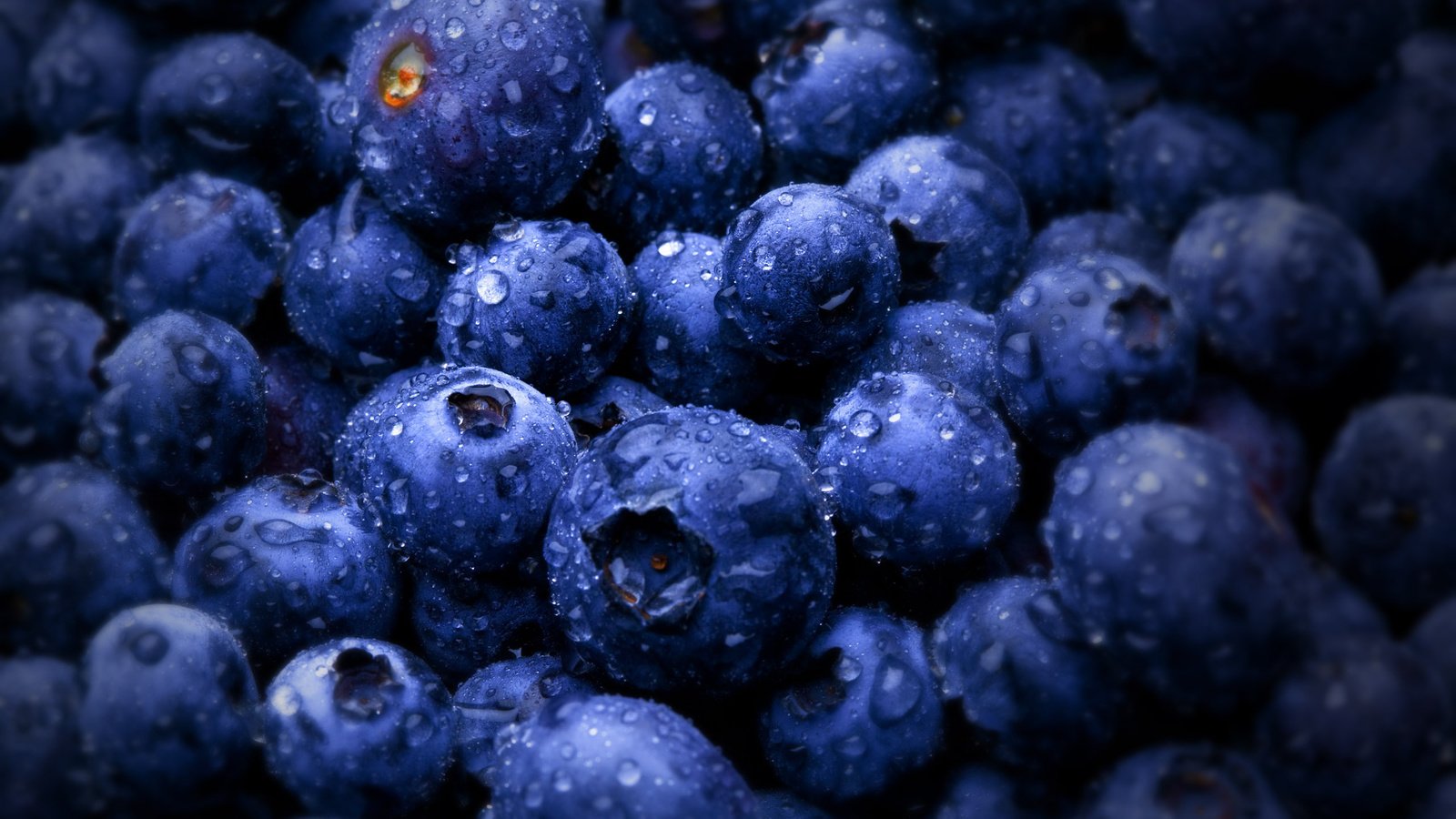 Обои ягоды, черника, bilberries, berries, blueberries разрешение 2560x1600 Загрузить