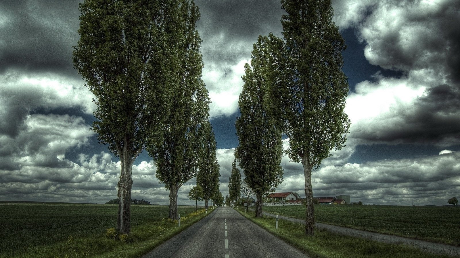 Обои дорога, деревья, дом, road, trees, house разрешение 1920x1200 Загрузить