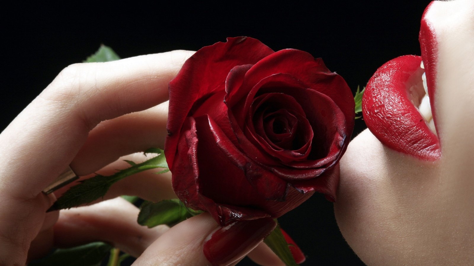 Обои роза, губы, пальцы, rose, lips, fingers разрешение 2560x1600 Загрузить