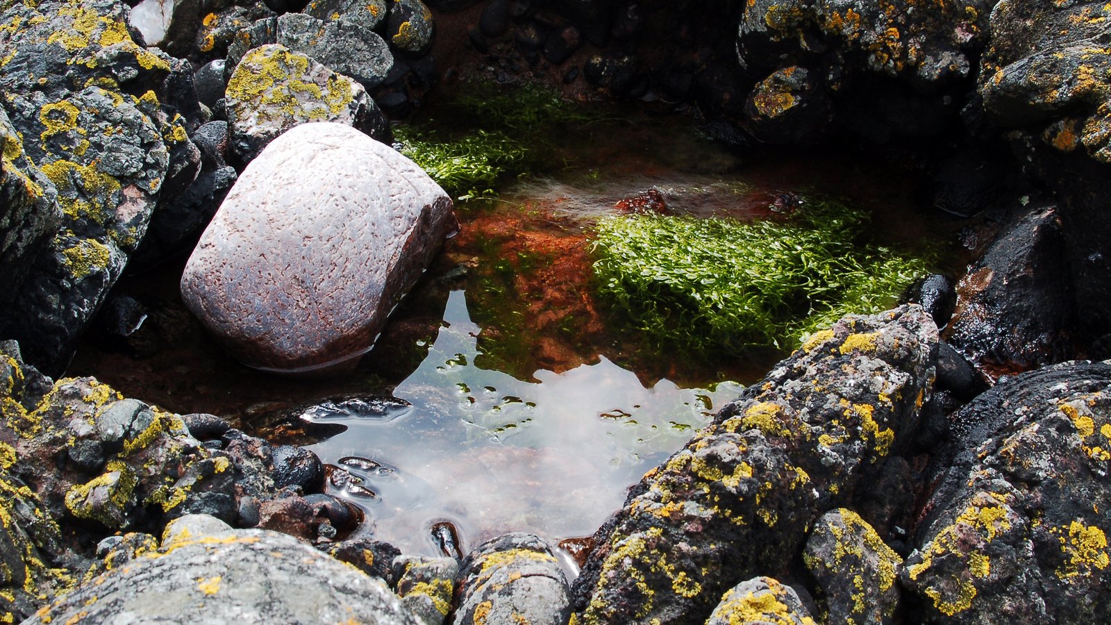 Обои вода, скалы, камни, мох, лужа, водоросли, отражения отражений, water, rocks, stones, moss, puddle, algae, reflections reflections разрешение 3008x2000 Загрузить