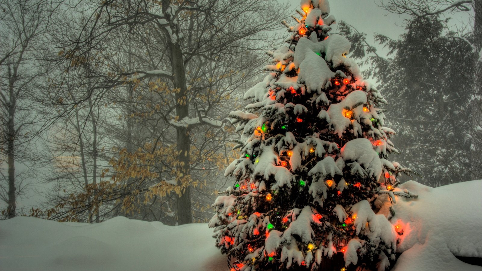 Обои снег, новый год, елка, зима, snow, new year, tree, winter разрешение 2560x1600 Загрузить
