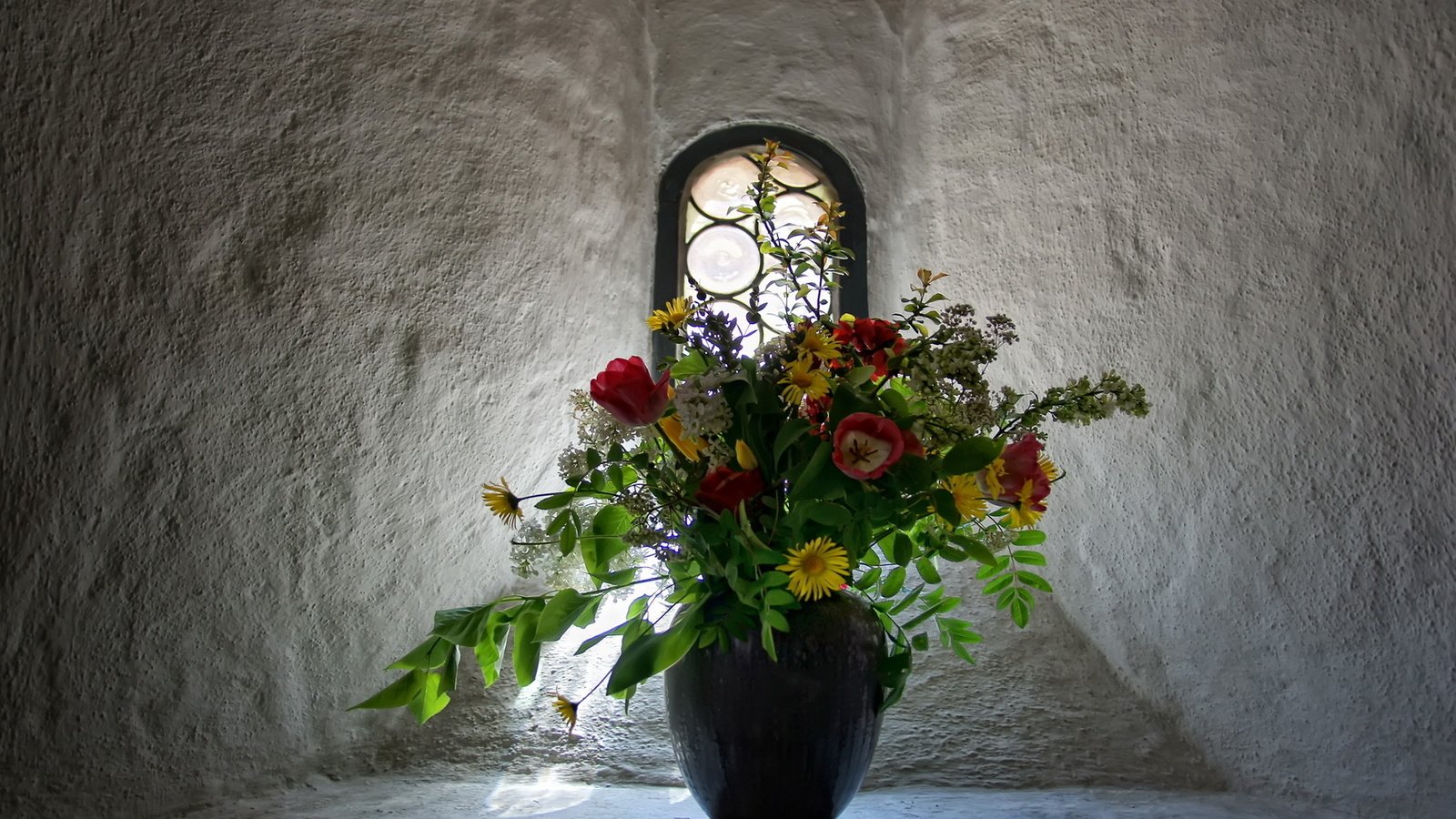 Обои цветы, okno, стена, букет, тюльпаны, окно, ваза, маргаритки, cvety, buket, flowers, wall, bouquet, tulips, window, vase, daisy разрешение 1920x1200 Загрузить