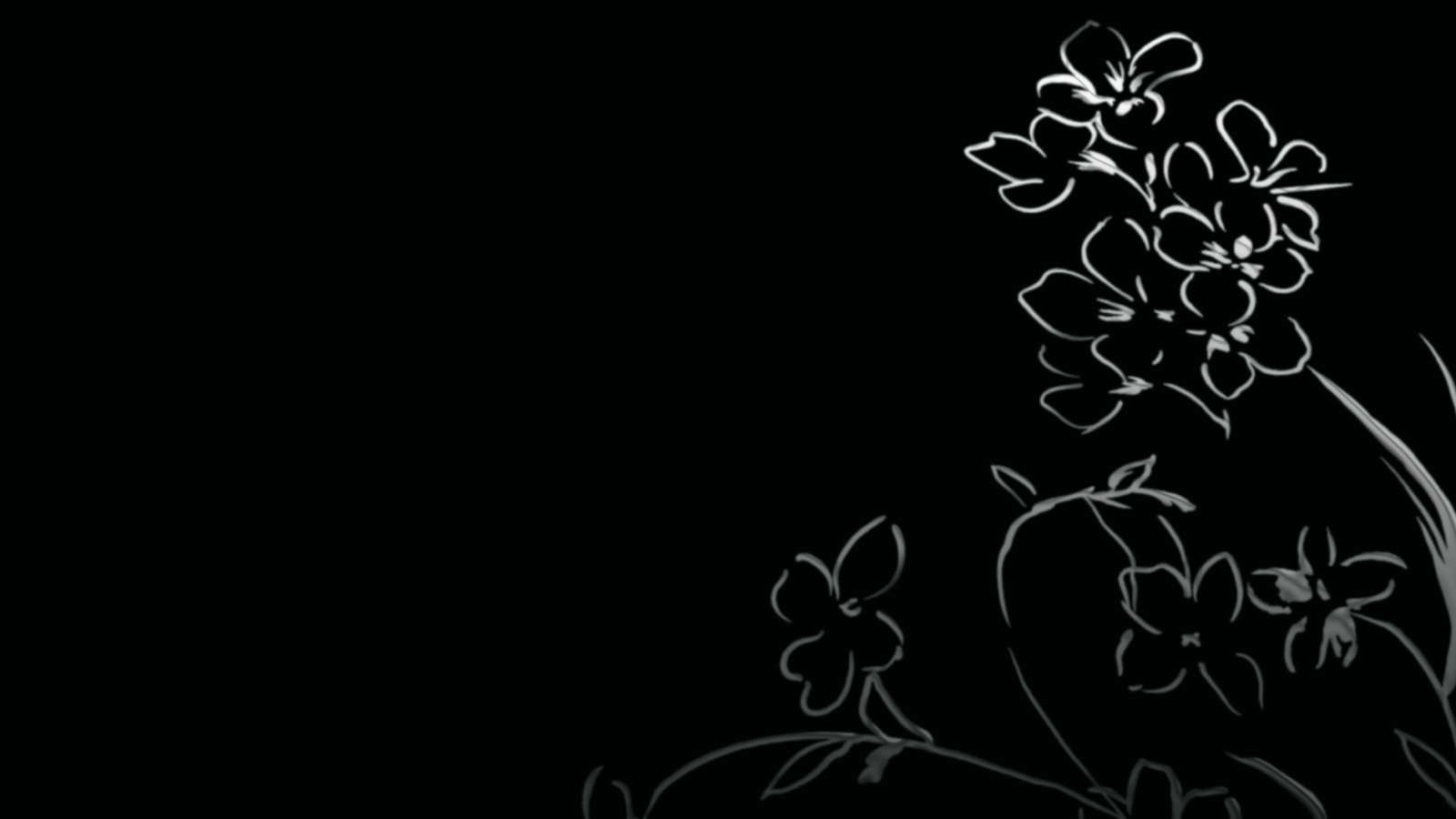 Обои цветы, черный фон, цветочки, рисуночек, flowers, black background, reconocer разрешение 1920x1200 Загрузить