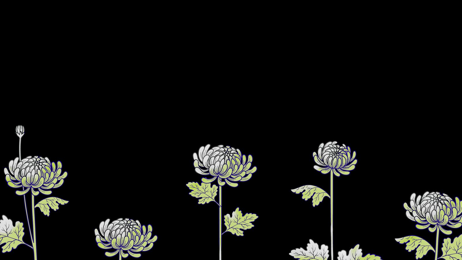 Обои цветы, рисунок, черный фон, flowers, figure, black background разрешение 2560x1600 Загрузить