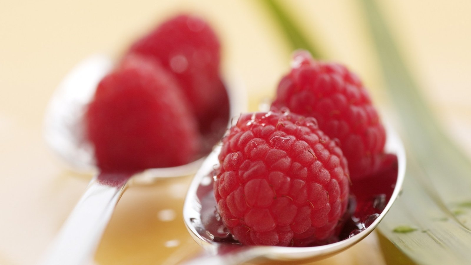 Обои макро, малина, ягоды, ложка, macro, raspberry, berries, spoon разрешение 1920x1200 Загрузить