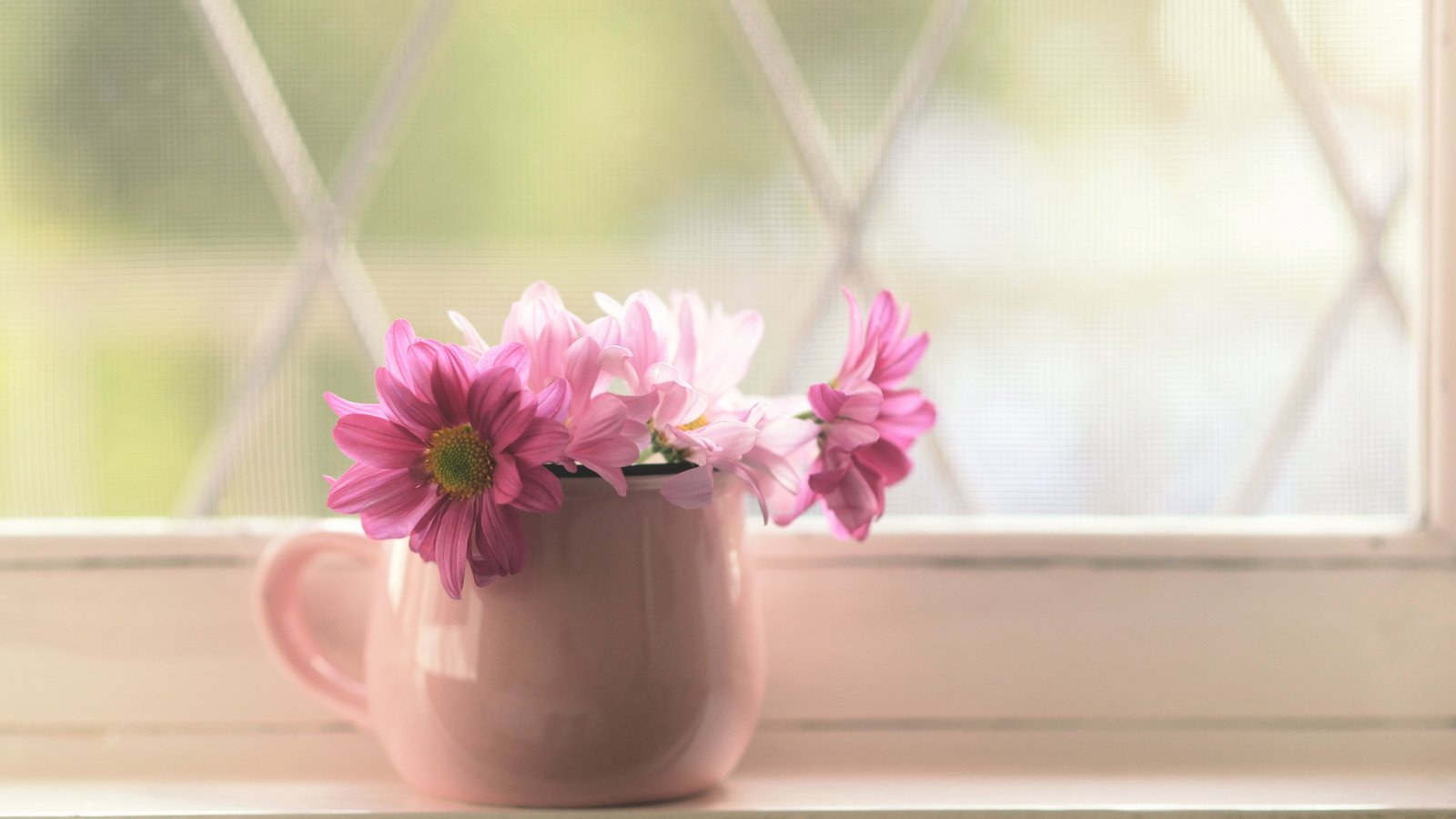 Обои цветы, лепестки, кружка, розовые, окно, букетик, подоконник, flowers, petals, mug, pink, window, a bunch, sill разрешение 2560x1600 Загрузить