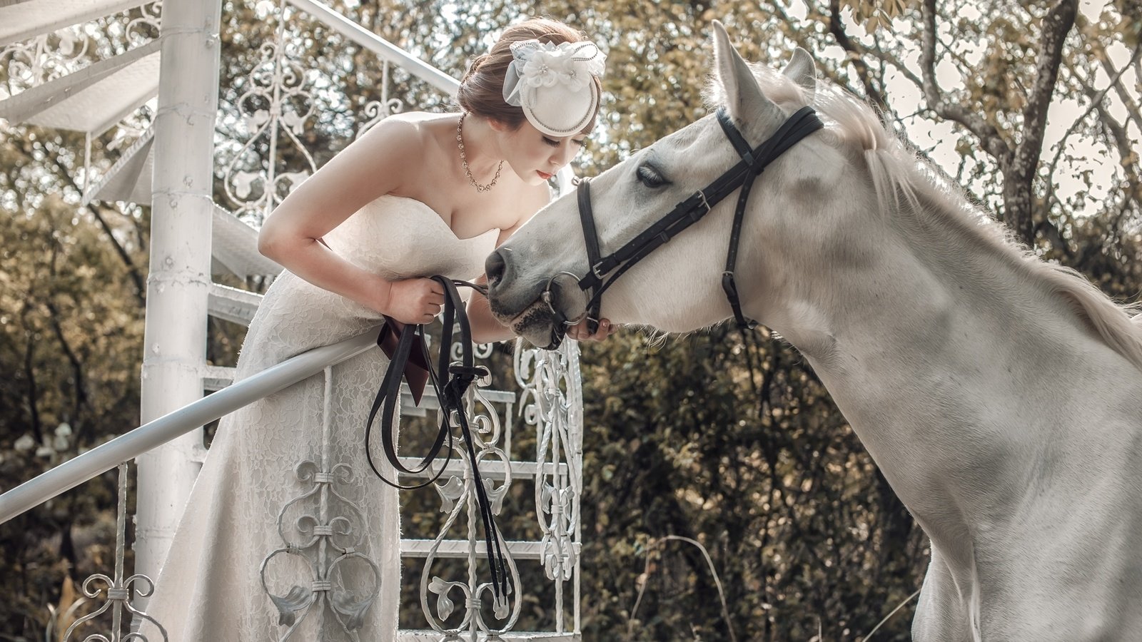Обои лошадь, белый, конь, азиатка, невеста, horse, white, asian, the bride разрешение 1920x1213 Загрузить