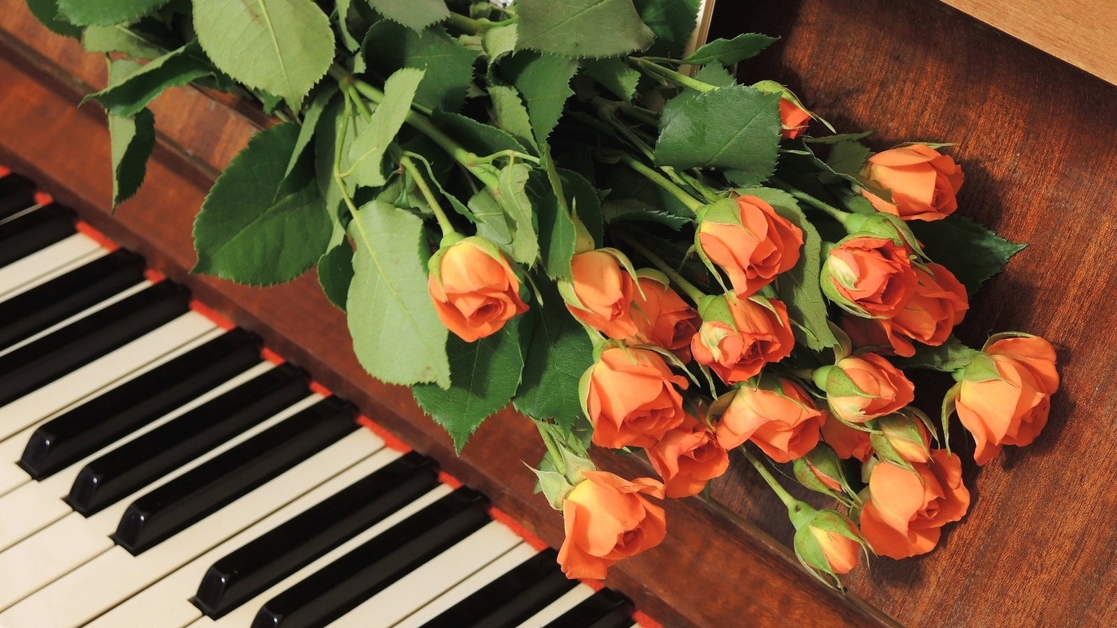 Обои цветы, бутоны, розы, пианино, букет цветов, flowers, buds, roses, piano, a bouquet of flowers разрешение 1920x1158 Загрузить