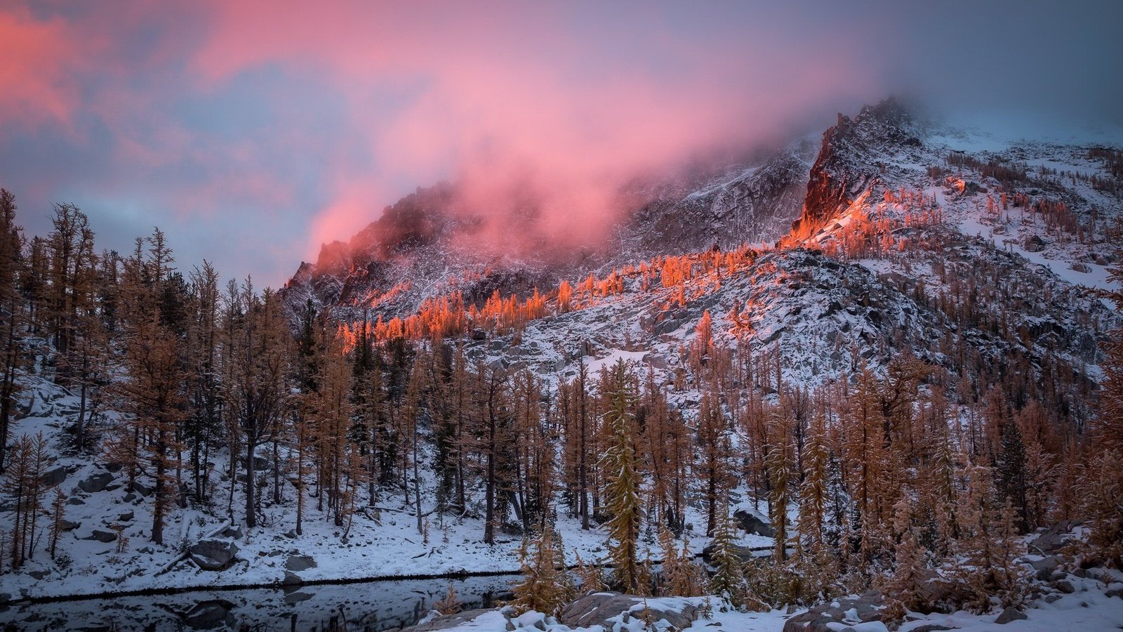 Обои деревья, горы, снег, природа, зима, утро, сша, штат вашингтон, trees, mountains, snow, nature, winter, morning, usa, washington разрешение 2047x1304 Загрузить