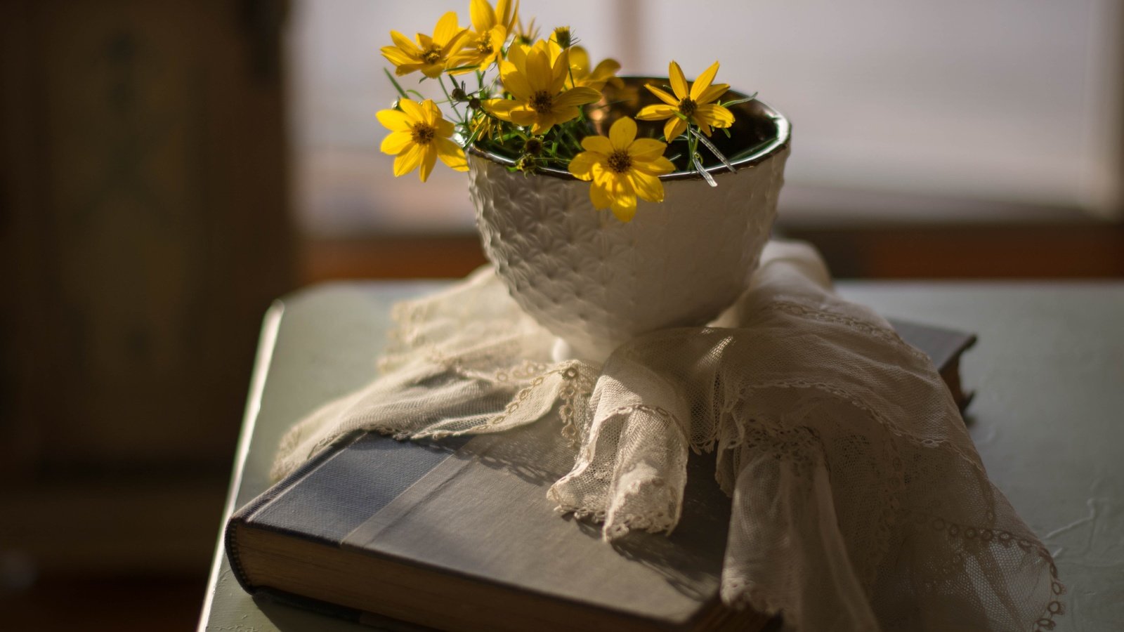 Обои цветы, фон, лепестки, салфетка, книга, flowers, background, petals, napkin, book разрешение 5167x3575 Загрузить