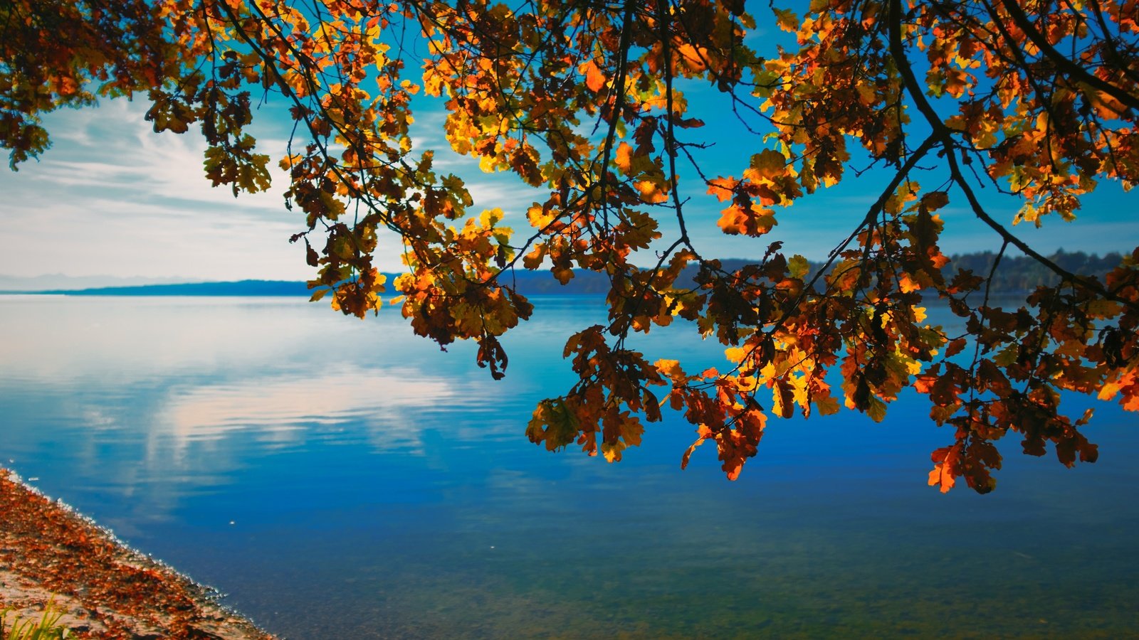 Обои небо, природа, дерево, берег, листья, ветки, горизонт, осень, the sky, nature, tree, shore, leaves, branches, horizon, autumn разрешение 4744x3163 Загрузить