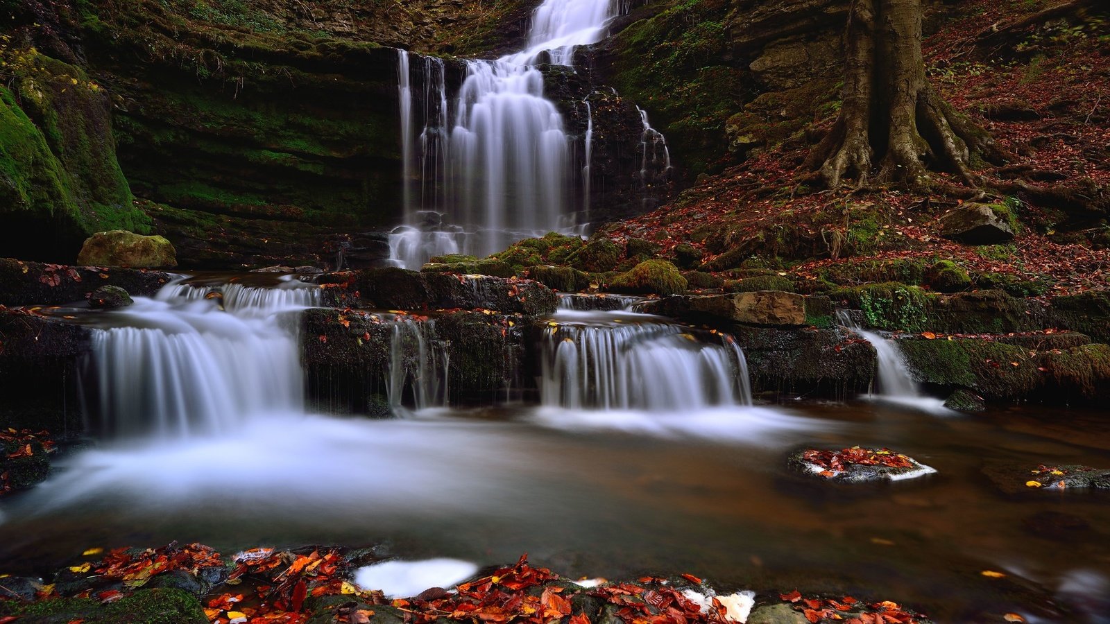 Обои листья, водопад, leaves, waterfall разрешение 2048x1367 Загрузить