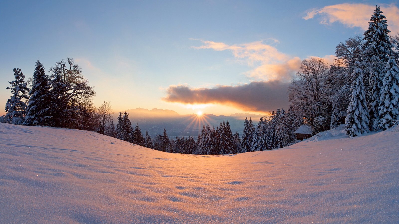 Обои свет, деревья, солнце, снег, лес, закат, зима, light, trees, the sun, snow, forest, sunset, winter разрешение 2048x1152 Загрузить