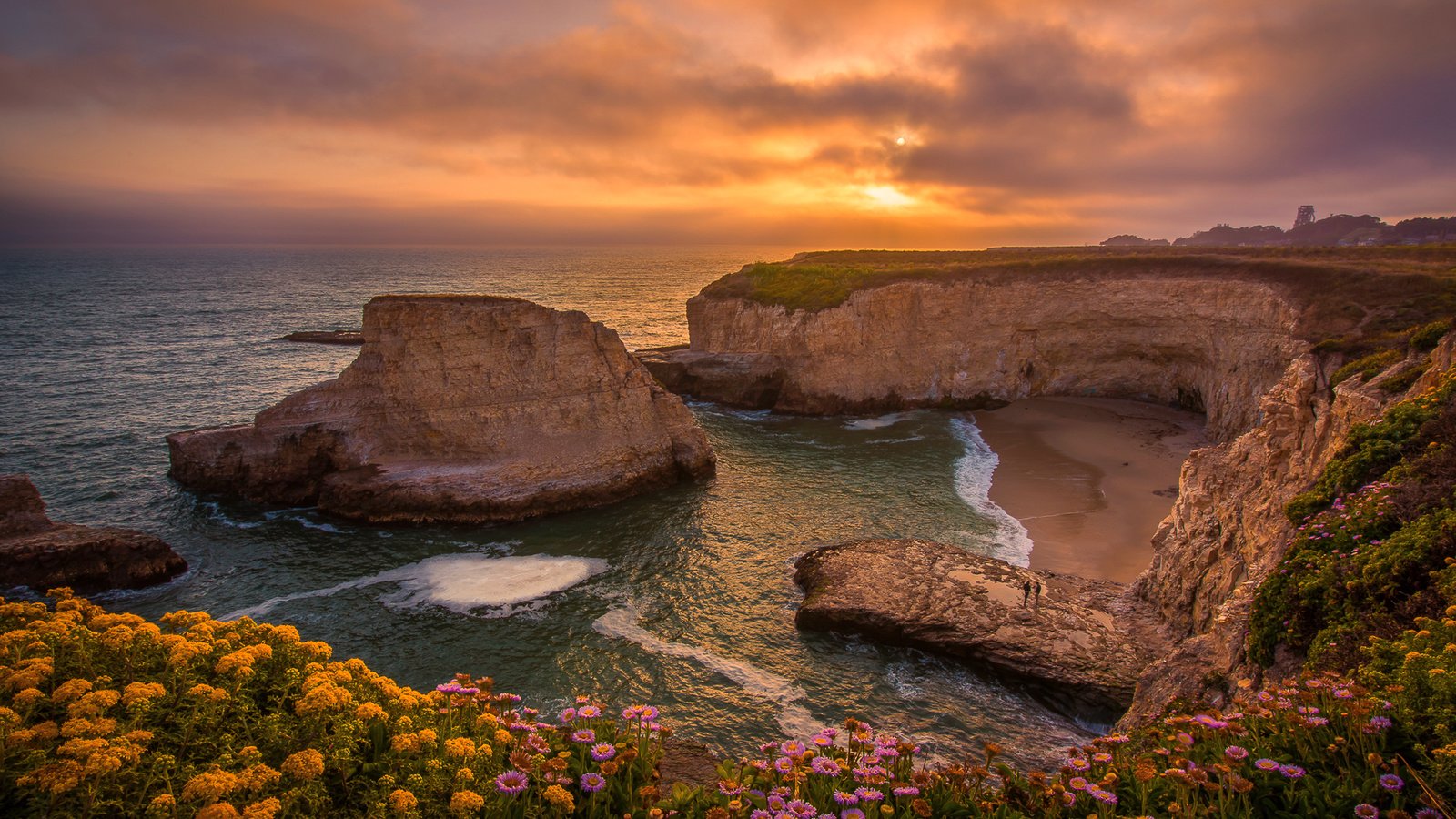 Обои цветы, санта-крус, скалы, shark fin cove, закат, санта-круз, побережье, калифорния, бухта, pacific ocean, тихий океан, ка­ли­фор­нийс­кая, california, flowers, santa cruz, rocks, sunset, coast, ca, bay, the pacific ocean разрешение 3000x2002 Загрузить