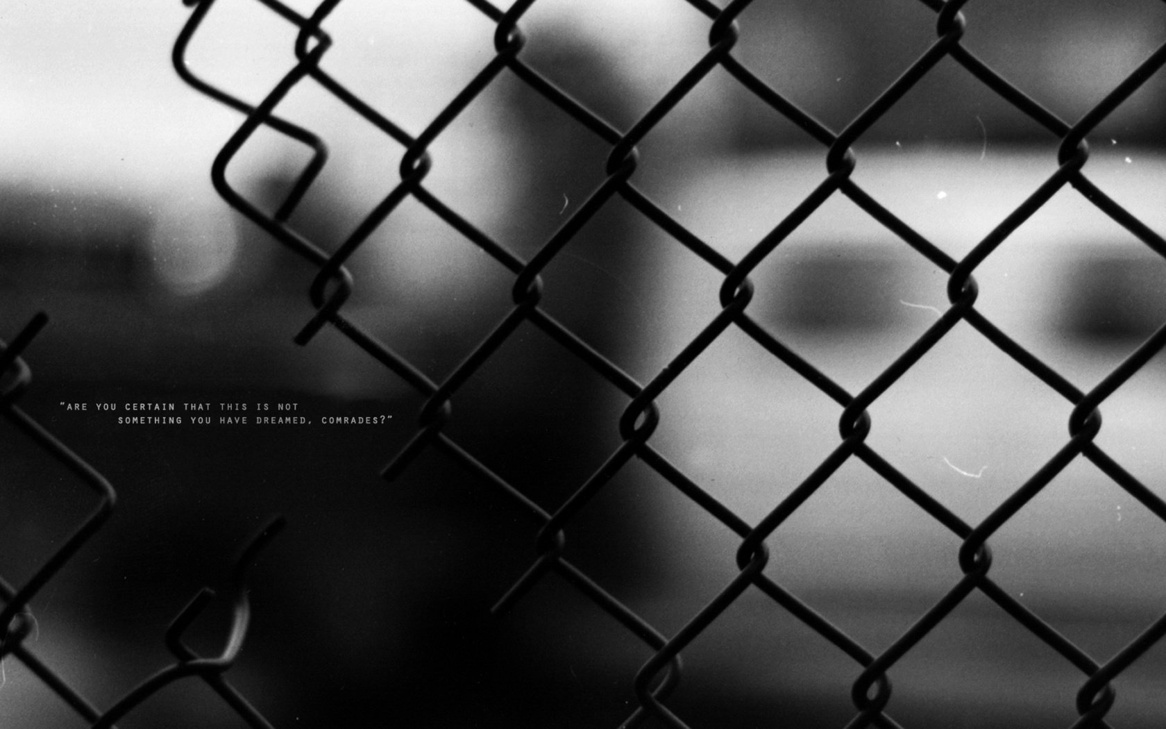 Обои проволока, слова, забор, чёрно-белое, выражение, wire, words, the fence, black and white, the expression разрешение 1920x1080 Загрузить