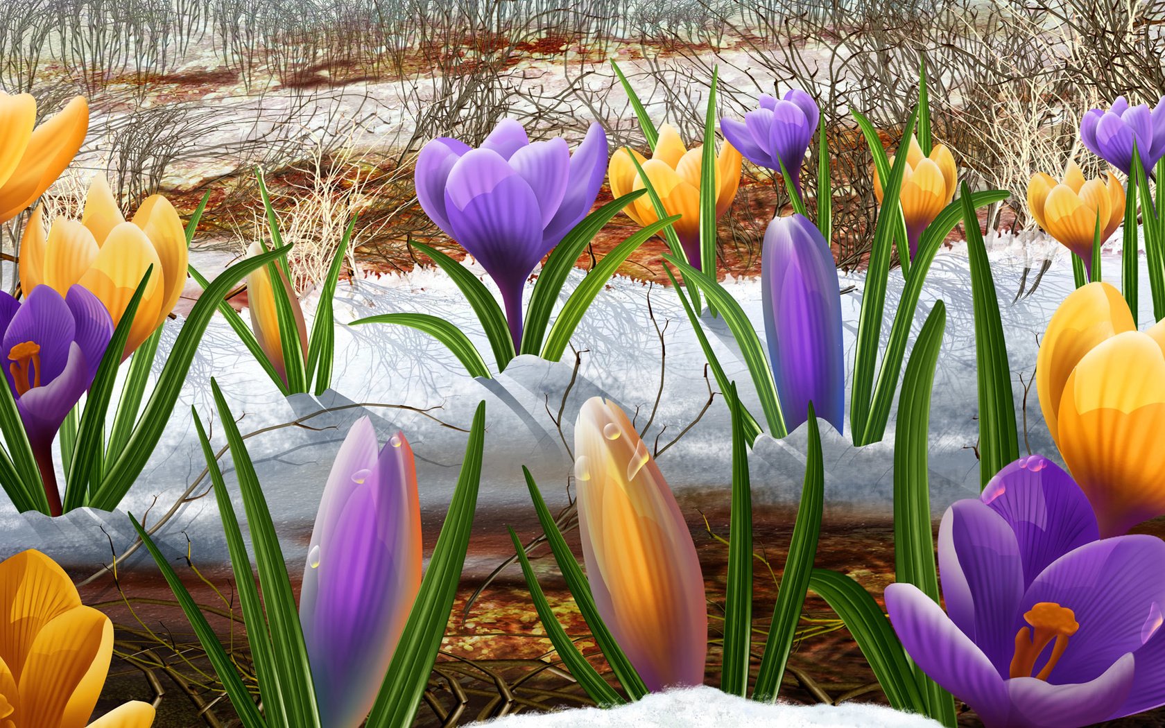 Обои цветы, снег, весна, flowers, snow, spring разрешение 1920x1200 Загрузить