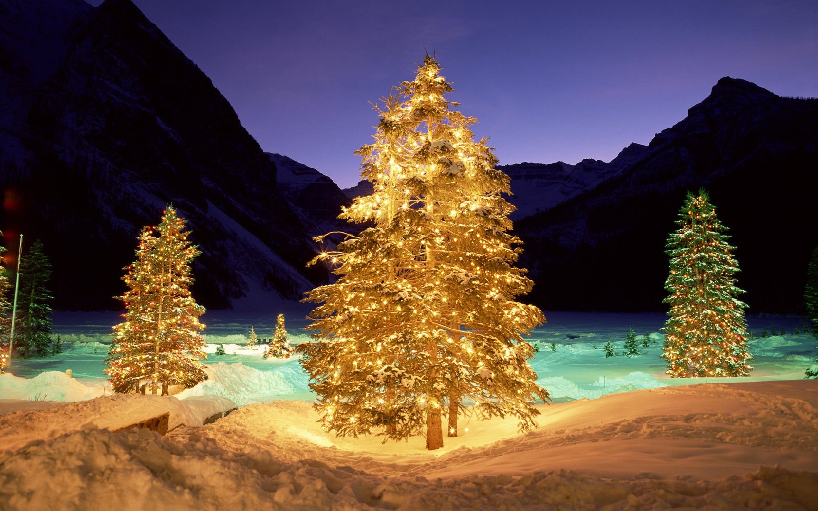 Обои свет, ночь, елка, зима, подсветка, light, night, tree, winter, backlight разрешение 2000x1333 Загрузить