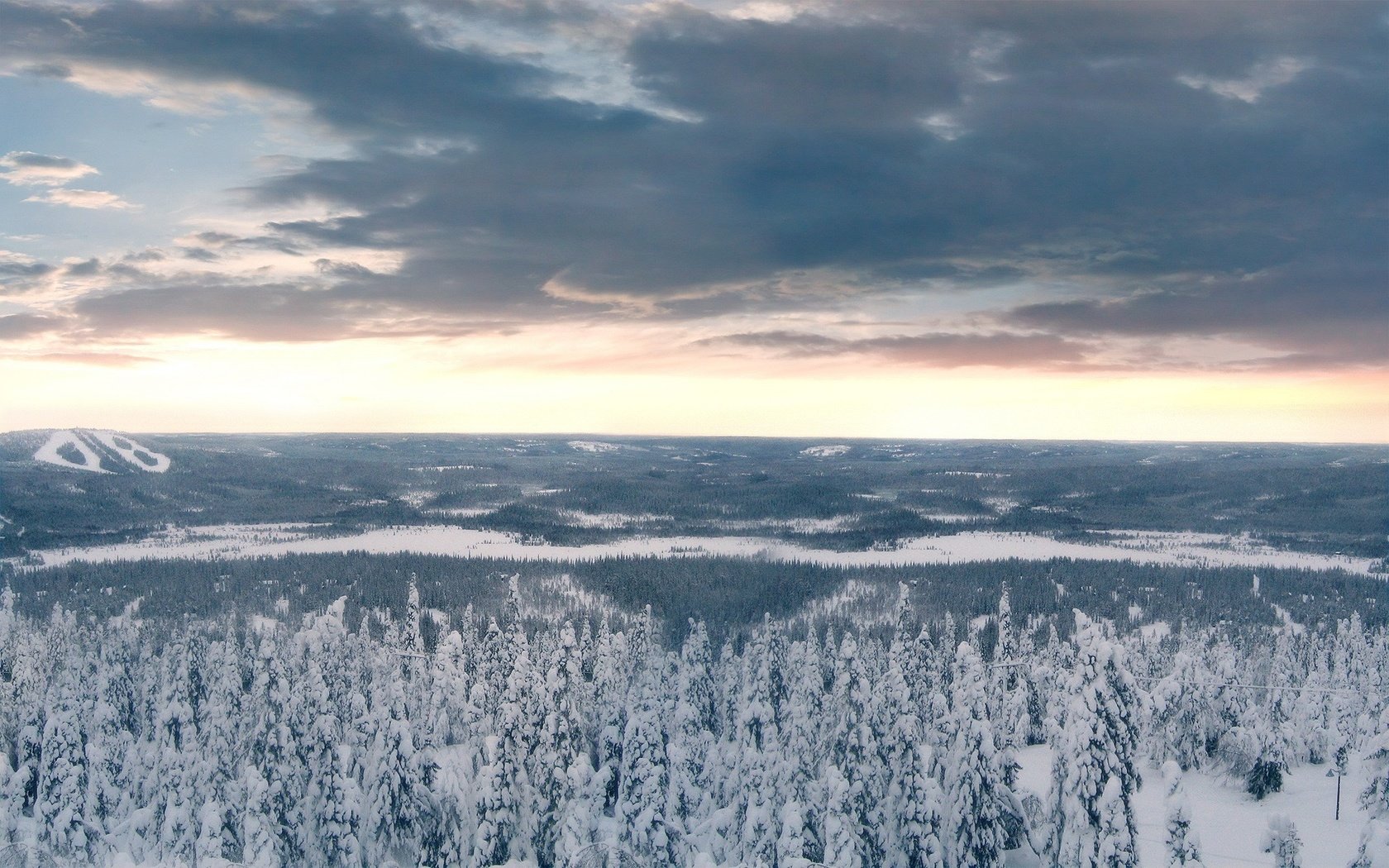 Обои облака, деревья, снег, лес, зима, clouds, trees, snow, forest, winter разрешение 1920x1200 Загрузить