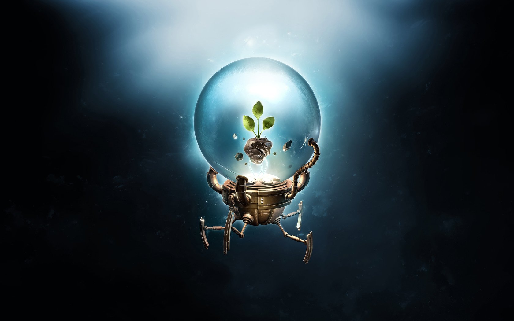 Обои росток в стеклянном шаре - мини оранжерее, sprout in a glass bowl - mini greenhouse разрешение 2560x1440 Загрузить
