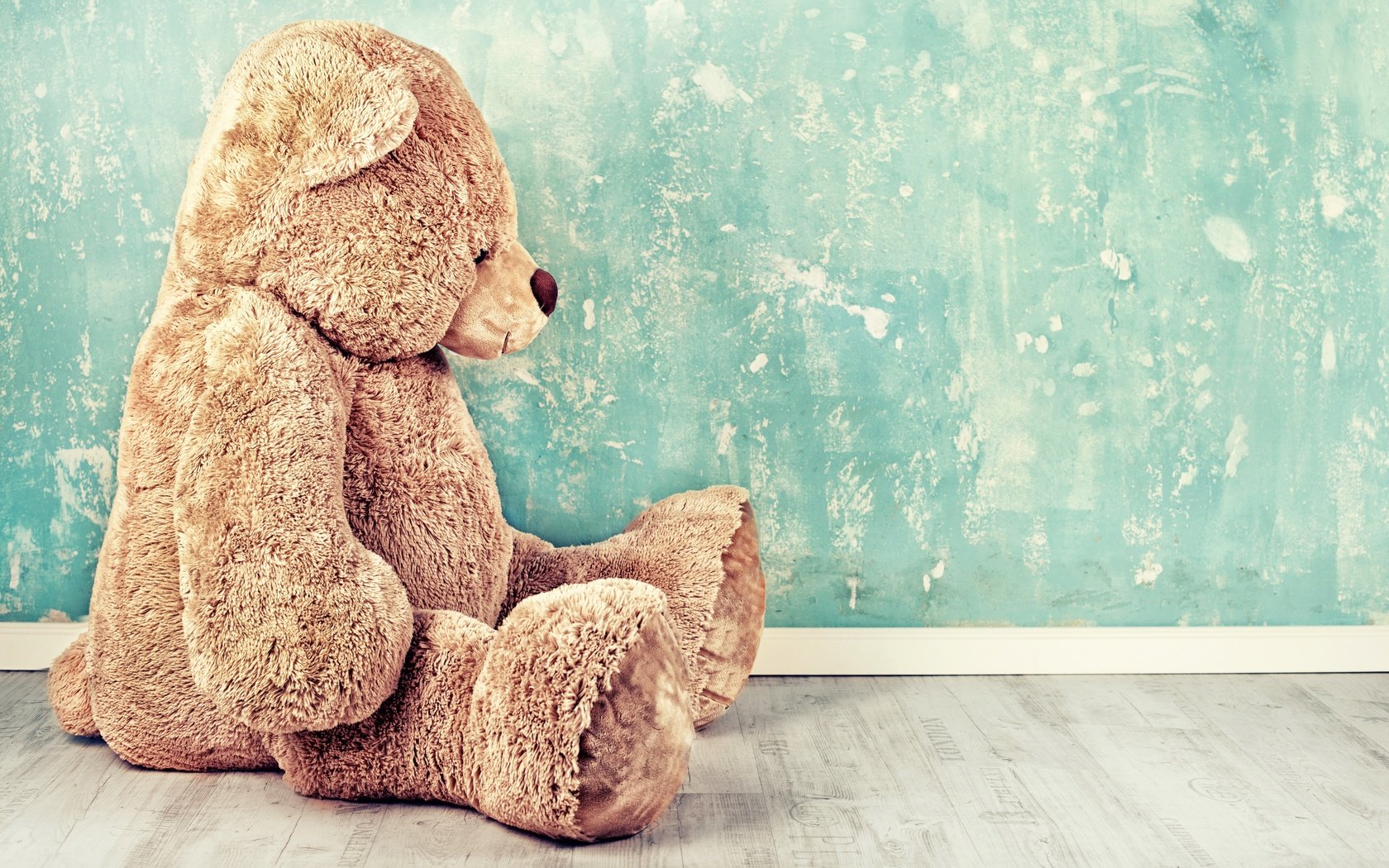 Обои стена, мишка, игрушка, сидит, wall, bear, toy, sitting разрешение 6361x4241 Загрузить