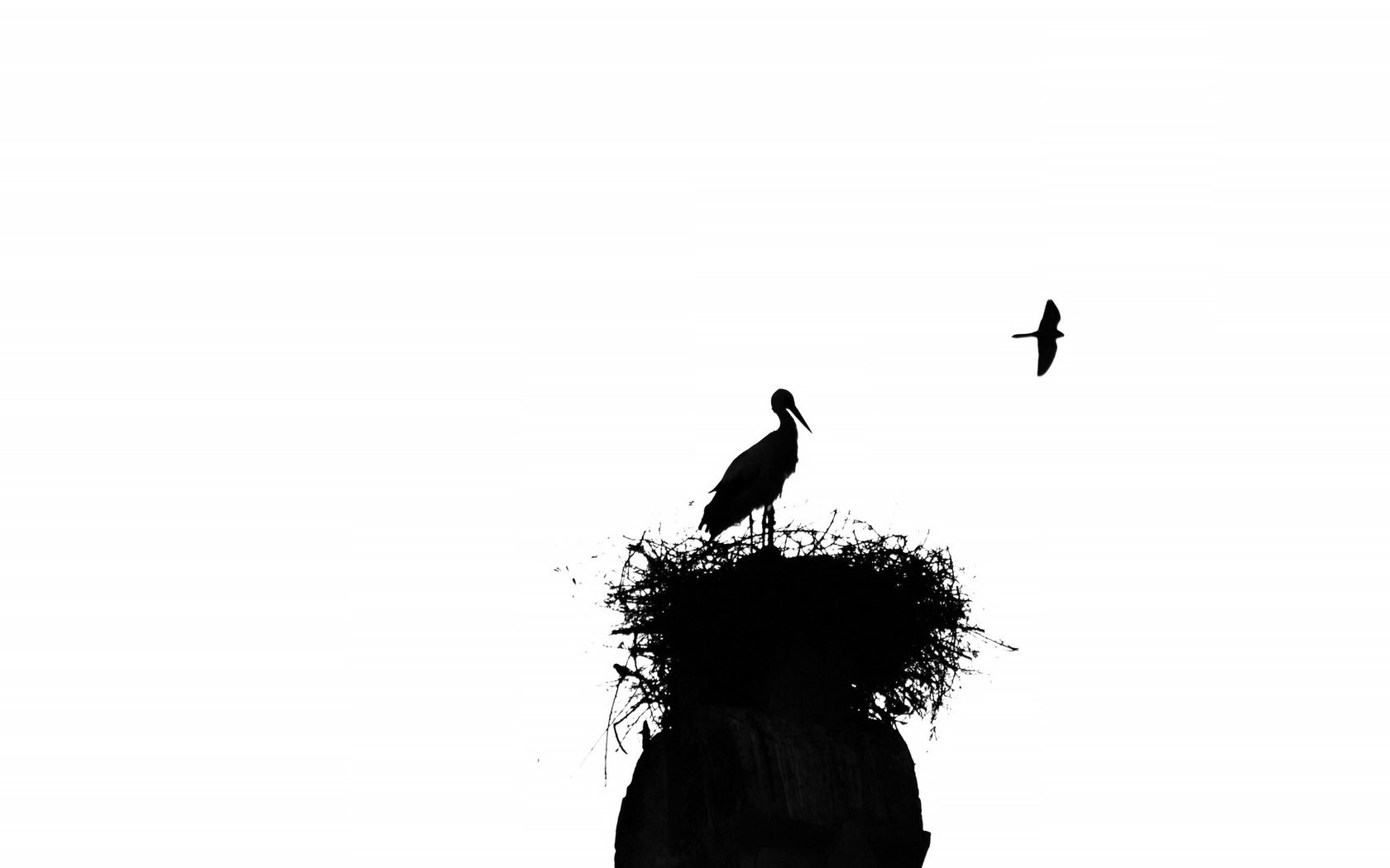 Обои птицы, силуэт, аист, гнездо, birds, silhouette, stork, socket разрешение 2048x1301 Загрузить